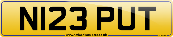 N123 PUT