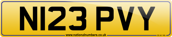 N123 PVY