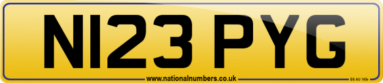 N123 PYG