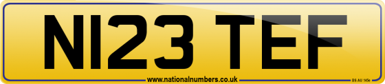 N123 TEF