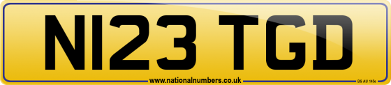 N123 TGD