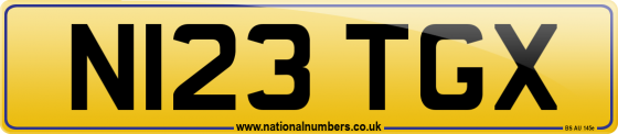 N123 TGX