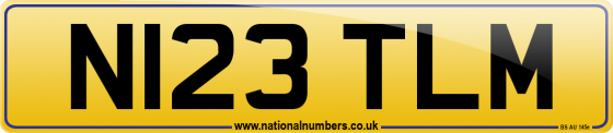 N123 TLM