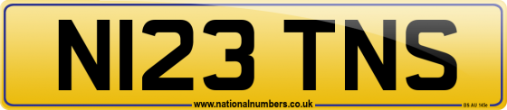 N123 TNS