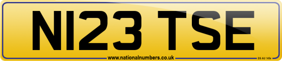 N123 TSE