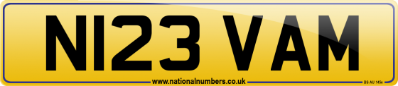 N123 VAM