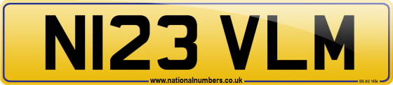 N123 VLM