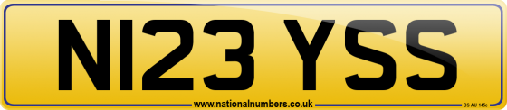 N123 YSS
