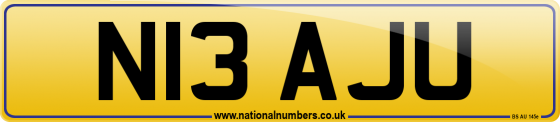 N13 AJU