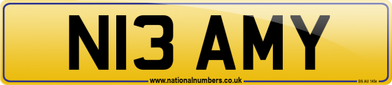 N13 AMY