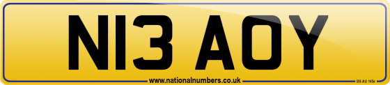 N13 AOY
