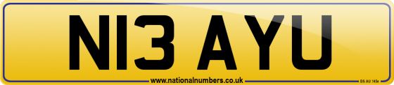 N13 AYU