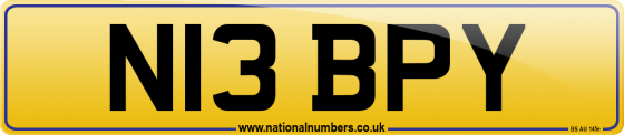 N13 BPY