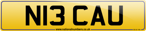 N13 CAU