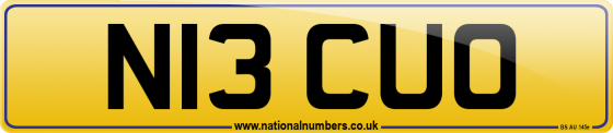 N13 CUO
