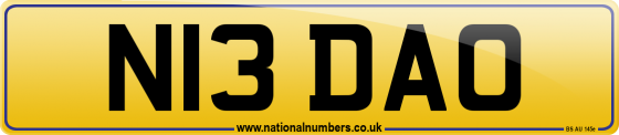 N13 DAO