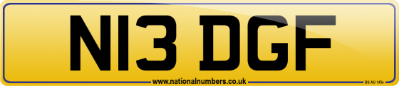 N13 DGF