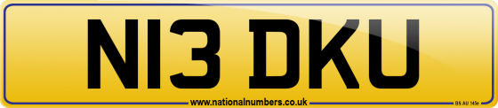 N13 DKU