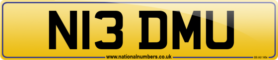 N13 DMU