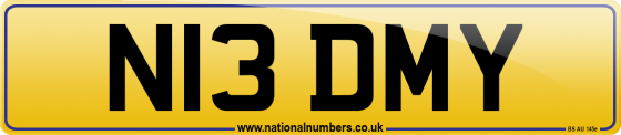 N13 DMY