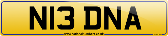 N13 DNA