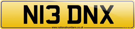 N13 DNX