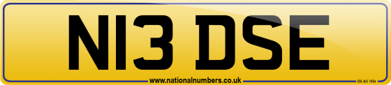 N13 DSE