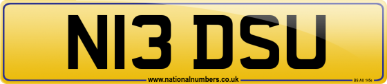 N13 DSU