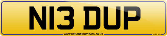 N13 DUP