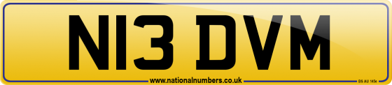 N13 DVM
