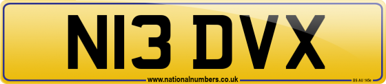 N13 DVX