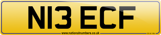 N13 ECF