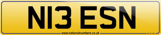 N13 ESN
