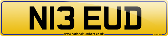 N13 EUD