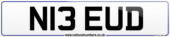 N13 EUD