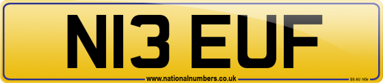 N13 EUF
