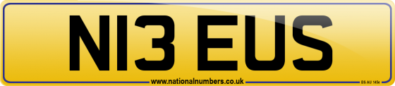 N13 EUS