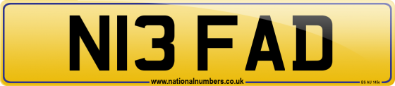 N13 FAD