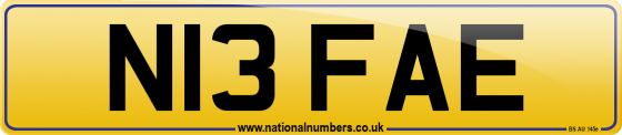 N13 FAE