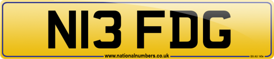 N13 FDG