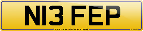 N13 FEP