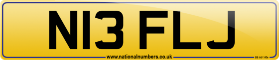 N13 FLJ