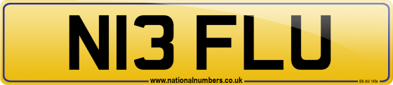 N13 FLU