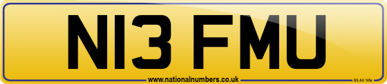 N13 FMU