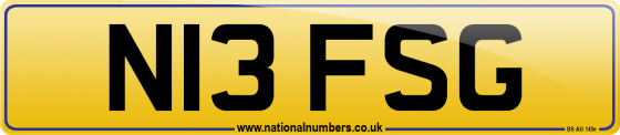 N13 FSG