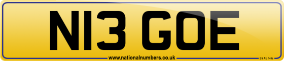 N13 GOE