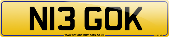 N13 GOK