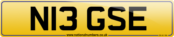 N13 GSE