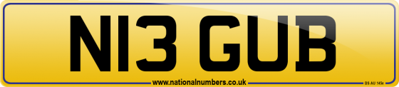 N13 GUB
