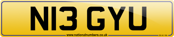 N13 GYU